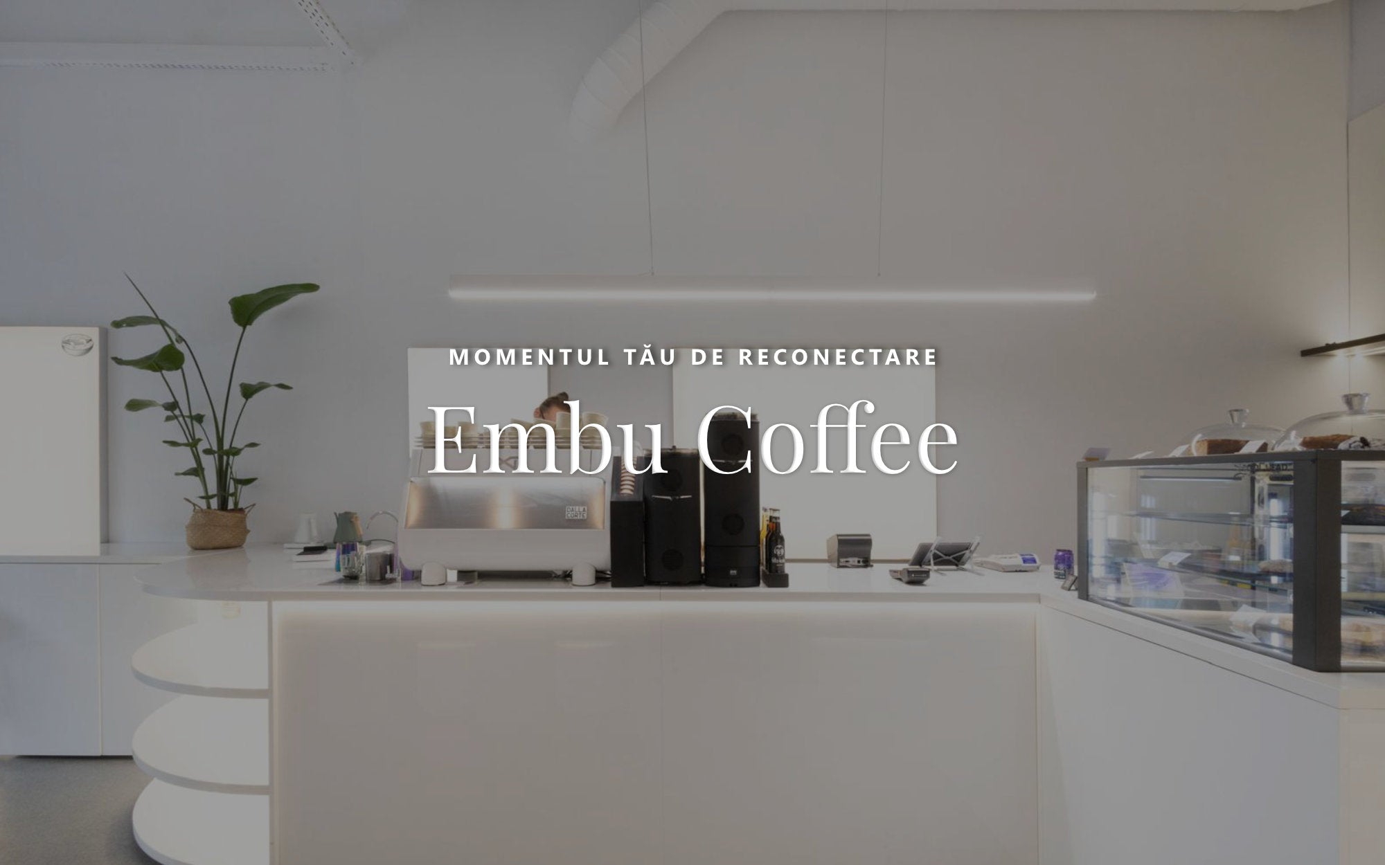 cafenea de specialitate Cluj