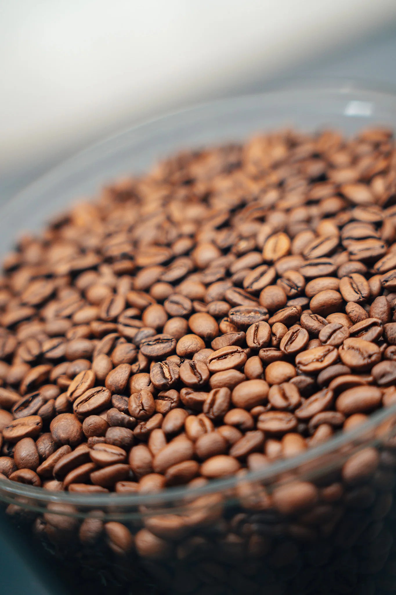 cafea de origine de specialitate